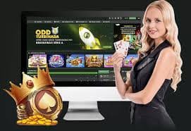bet193